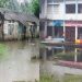 মির্জাপুরে জলাবদ্ধতায় বিপাকে দুই সরকারি প্রাথমিক বিদ্যালয়ের ৮০০ শিক্ষার্থী