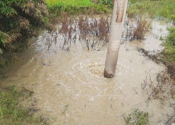 টাঙ্গাইলে তিতাস গ্যাস পাইপ ফেটে গ্যাস ও বিদ্যুৎ সরবরাহ বন্ধ