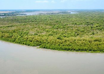 তিন মাস বন্ধের পর সুন্দরবন উন্মুক্ত জেলেরা ও পর্যটকরা প্রবেশ শুরু করলেন