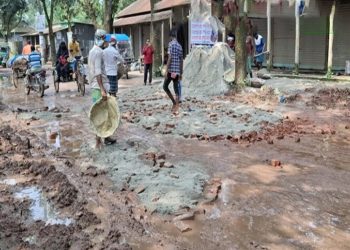 সখীপুর-কচুয়া সড়কে জনদুর্ভোগ লাঘবে সংস্কার কাজ