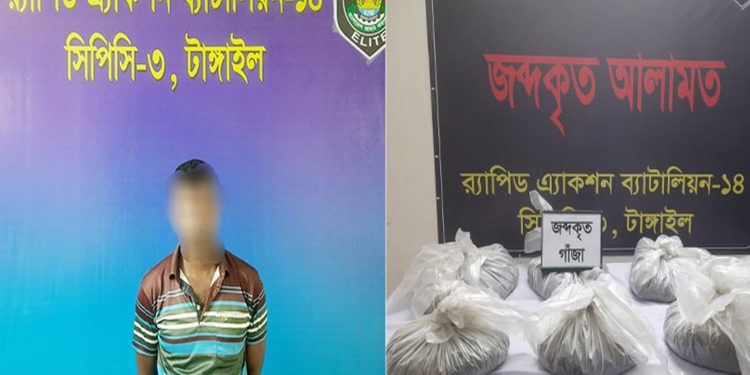 টাঙ্গাইলে ১১ কেজি গাঁ'জা'স'হ মা'দ'ক কারবারি গ্রে'প্তা'র