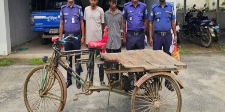 সখীপুরে চোর চক্রের দুই সদস্য গ্রে'প্তা'র, উদ্ধার অটোভ্যান