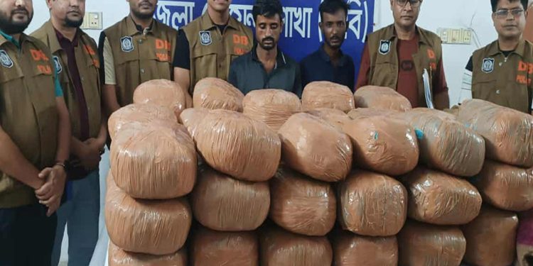 ডিবির অভিযানে ১৭৪ কেজি গাঁ'জা উদ্ধার গ্রে'ফ'তার ৪