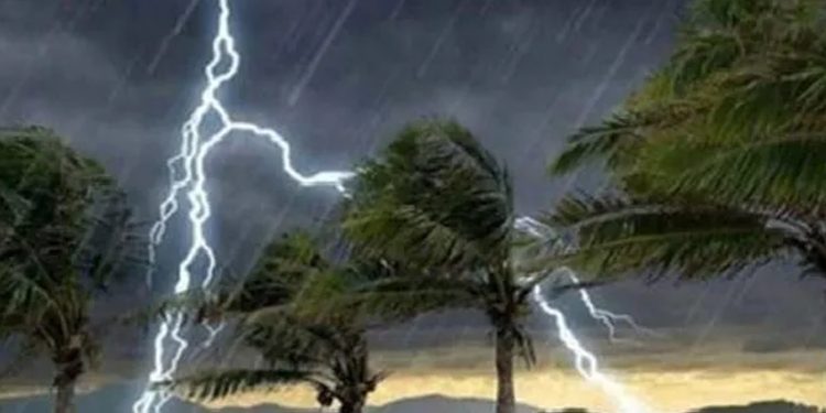 মির্জাপুরে বজ্রপাতে বৃদ্ধের মৃ'ত্যু