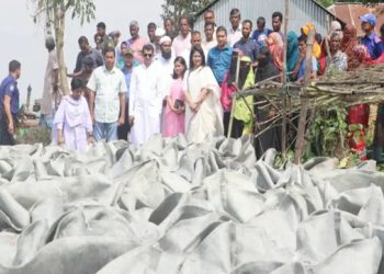 টাঙ্গাইলের ডিসির উদ্যোগে নদী ভাঙনে রক্ষা পেলো ৫০০ পরিবার
