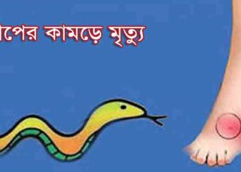 দেলদুয়ারে সাপের কামড়ে যুবকের মৃ'ত্যু