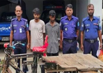 সখীপুরে চোর চক্রের দুই সদস্য গ্রে'প্তা'র, উদ্ধার অটোভ্যান