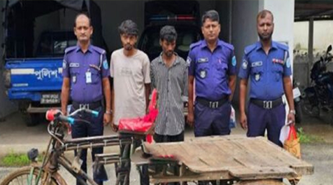 সখীপুরে চোর চক্রের দুই সদস্য গ্রে'প্তা'র, উদ্ধার অটোভ্যান