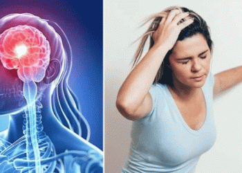 উচ্চ রক্তচাপ বাড়লে হঠাৎ হতে পারে স্ট্রোক, জানুন বাঁচার উপায়