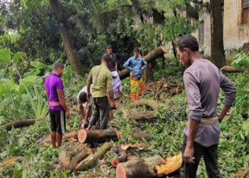 মির্জাপুরে পিতা-পুত্র নিলামে অংশ নিয়ে গাছ বিক্রির অভিযোগ