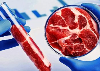 সংক্রামিত পশুর মাংস: স্বাস্থ্যঝুঁকি ও সতর্কতা