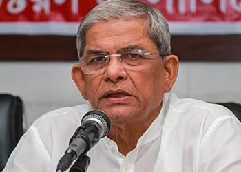 কয়েকজন মিলে আইন করলে গণতন্ত্র হয় না : মির্জা ফখরুল