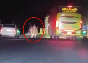 টাঙ্গাইল-যমুনা সেতুতে ডা'কা'তি'র ভিডিও ভাইরাল