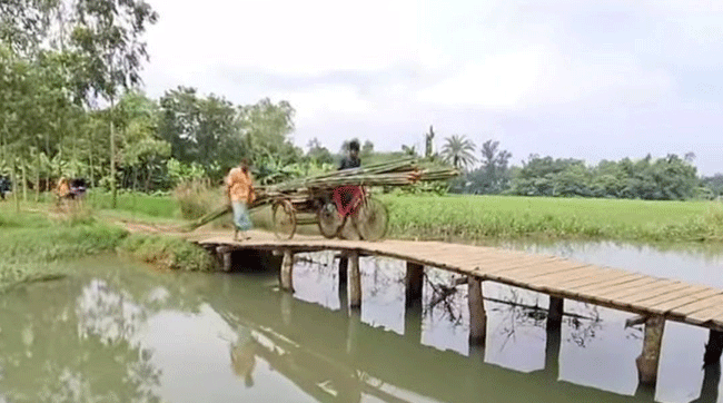 সখীপুরে নড়বড়ে কাঠের সাঁকোতে ঝুঁকিপূর্ণ পারাপার
