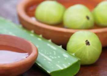 অ্যালোভেরা ও আমলকি দিয়ে ঘরে বানান চুলের মাস্ক