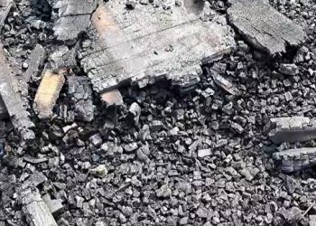 ঘাটাইলে ব'জ্র'পা'তে ৬ দোকান পু'ড়ে ছাই