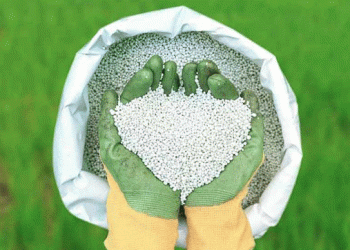 ৭৫ হাজার টন সার কিনবে সরকার