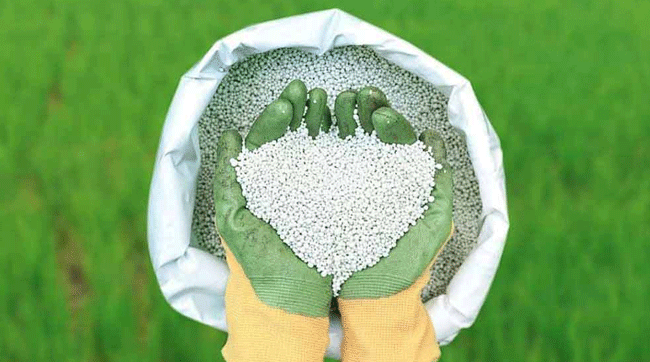 ৭৫ হাজার টন সার কিনবে সরকার