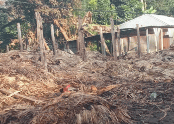 নাগরপুরে ভাদ্রা বাজারে পাটের গোডাউনে অগ্নিকাণ্ড