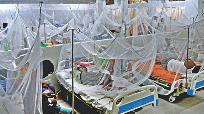 গত ২৪ ঘণ্টায় ৮৩৪ জন ডেঙ্গু আক্রান্ত হাসপাতালে ভর্তি