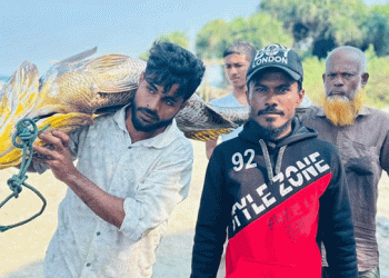 সেন্ট মার্টিনে ধরা পড়ল ৩২ কেজির পোপা, দাম উঠল ৭ লাখ