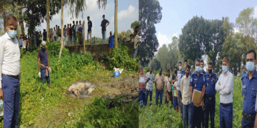 নাগরপুরে জমি বিরোধের ঘটনায় নি'হ'তে'র লা'শ উত্তোলন, পুনঃতদন্ত শুরু