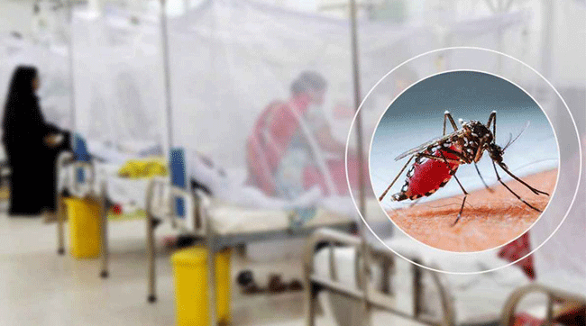 দেঙ্গুতে আরও ১ জনের মৃ'ত্যু, নতুন ভর্তি ৬৩৩