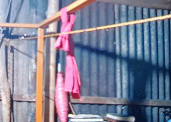 কালিহাতীতে গৃহবধূ সোনিয়ার রহস্যজনক মৃ'ত্যু, আ'ত্মহ'ত্যা না পরিকল্পিত হ'ত্যা?