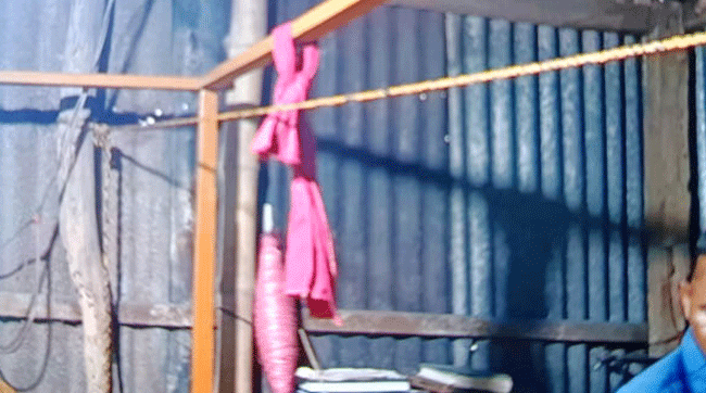 কালিহাতীতে গৃহবধূ সোনিয়ার রহস্যজনক মৃ'ত্যু, আ'ত্মহ'ত্যা না পরিকল্পিত হ'ত্যা?