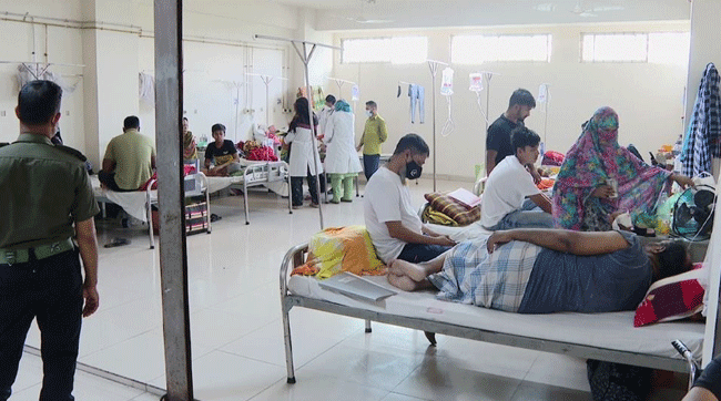 ডিসেম্বর পর্যন্ত থাকবে ডেঙ্গুর প্রকোপ: কীটতত্ত্ববিদ