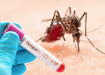 ডেঙ্গুতে ২৪ ঘণ্টায় আরও ৭ মৃ'ত্যু, হাসপাতালে ভর্তি ৫৬৭