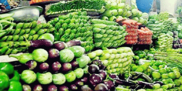 টাঙ্গাইলে কমেছে শীতকালীন সবজির দাম, স্বস্তিতে ক্রেতারা