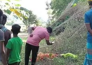 মির্জাপুরে রেল লাইনের পাশে বৃদ্ধার লাশ পড়ে ছিল