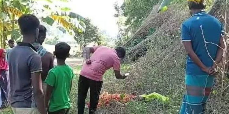 মির্জাপুরে রেল লাইনের পাশে বৃদ্ধার লাশ পড়ে ছিল