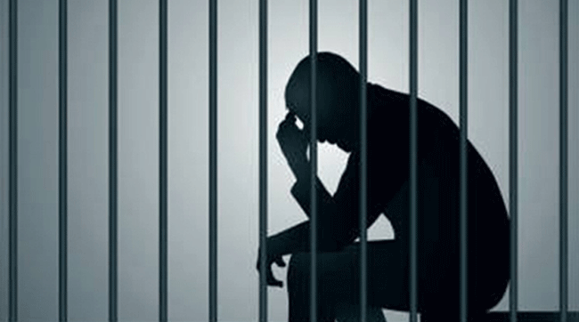 ১৫ টাকা খরচে ভিডিও কল করতে পারবেন কারাবন্দিরা!