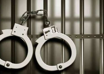 টাঙ্গাইলে পুলিশের বিশেষ অভিযানে ২৪ ঘণ্টায় ১৬ জন গ্রেফতার