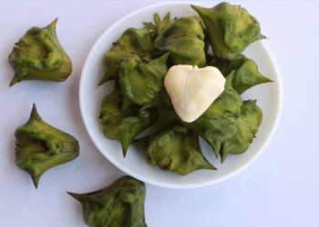 পানিফল খাওয়ার ক্ষেত্রে সতর্ক থাকবেন যারা