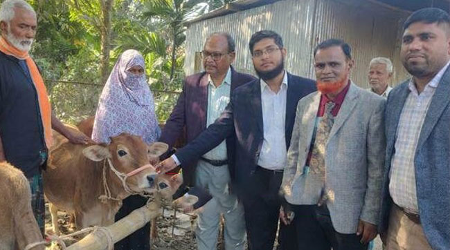 গোপালপুরে হতদরিদ্র ৭ পরিবারকে বিনামূল্যে বকনা গরু বিতরণ