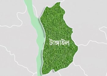 টাঙ্গাইলের তিনটি আসনে বিএনপির ৬ বিদ্রোহীর মনোনয়ন সংগ্রহ