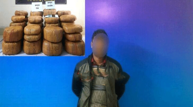 মধুপুরে র্যাবের অভিযানে ১২৭ কেজি গাঁজাসহ মাদক কারবারী গ্রেফতার