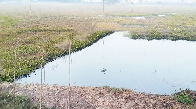 টাঙ্গাইলের মির্জাপুরে জলাবদ্ধতায় ৫শ’ একর আবাদি জমি অনাবাদি