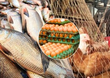 তীব্র শীতের প্রভাব পড়েছে টাঙ্গাইলের নিত্যপণ্যের বাজারে