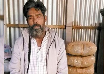 ঘাটাইলে ৬ কেজি গাঁজাসহ মাদক ব্যবসায়ী লালু গ্রেফতার