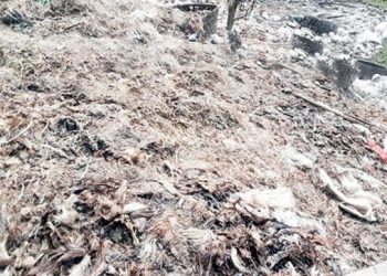 মির্জাপুর পৌর কাঁচা বাজারের বর্জ্য যত্রতত্র ফেলা হচ্ছে