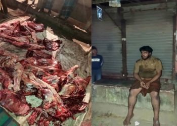 টাঙ্গাইলে গোপালপুরে ঘোড়া জবাই ও মাংস বিক্রির ঘটনায় চারজন আটক