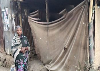 ভাঙাচোরা টিনের ঘরে কালিহাতীর ঘুনীতে কাজুলী বেগমের মানবেতর জীবনযাপন