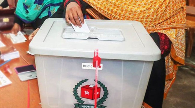 ভোট দিতে জানতে হবে যেসব তথ্য