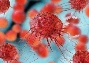 ক্যান্সারের বড় অংশই প্রতিরোধযোগ্য