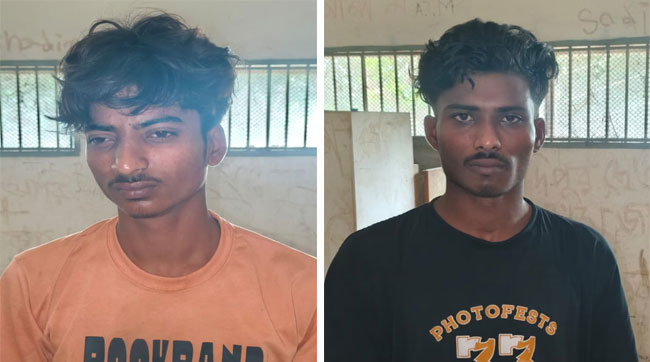 নাগরপুরে ২২ পিস ইয়াবাসহ দুই সহোদর গ্রেফতার