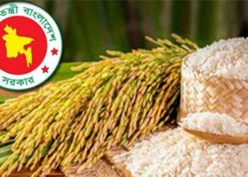 বোরো মৌসুমে ধান-চালের নতুন সংগ্রহ মূল্য নির্ধারণ করল সরকার